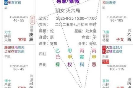 紫微斗数之田宅宫与诸星，紫微星在田宅宫是什么意思？