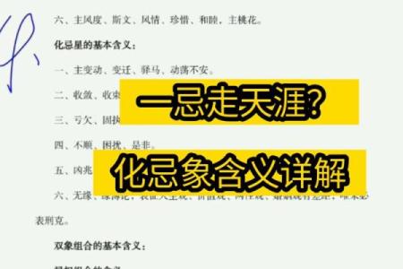 紫薇斗数化解化忌
