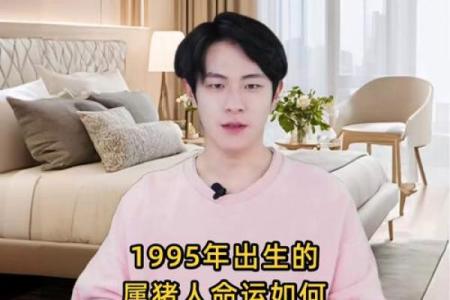 如何给属猪申时出生的男孩取个好名字姓名