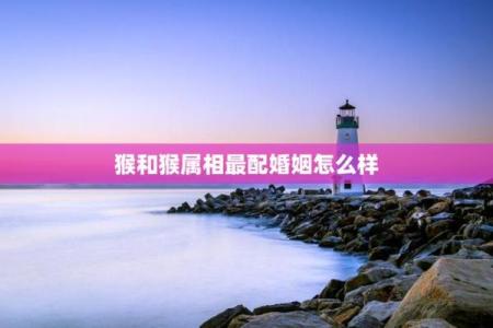 属猴的女人和什么属相最配对 属猴的女人和什么属相最配婚姻