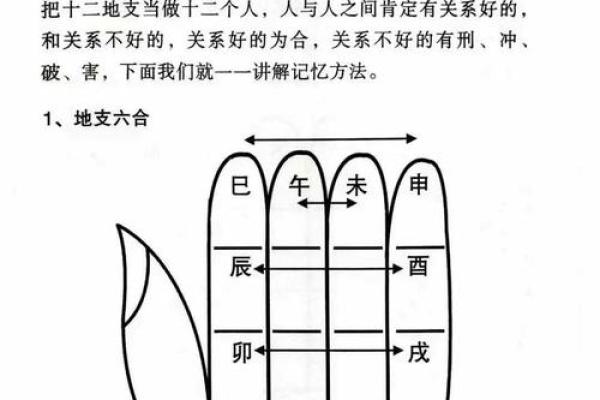 八字算命需要看书吗