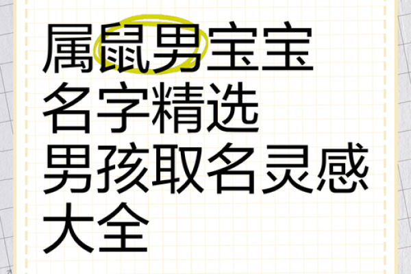 给属鼠子时出生的男孩取名的小妙招姓名