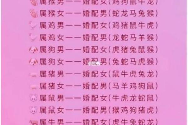 属龙姻缘配对