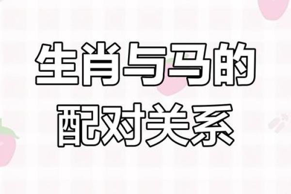 马跟什么生肖配对最好 生肖马最佳配对