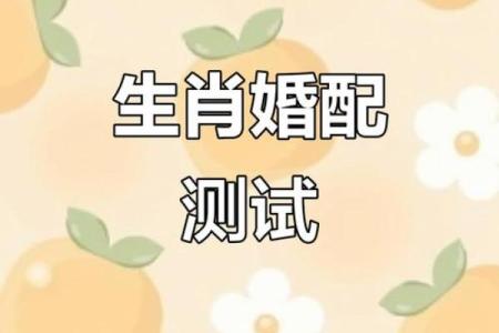 2000属龙女孩最佳婚配 与什么生肖配对最幸福