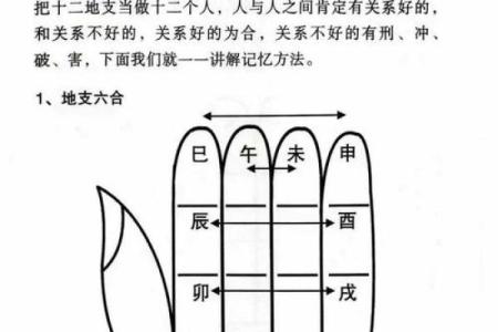 八字算命需要看书吗