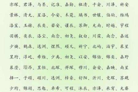 傍晚6点出生的属蛇男孩要如何起名才能使气运增加姓名