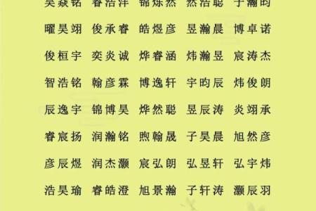 给属鼠子时出生的男孩取名的小妙招姓名