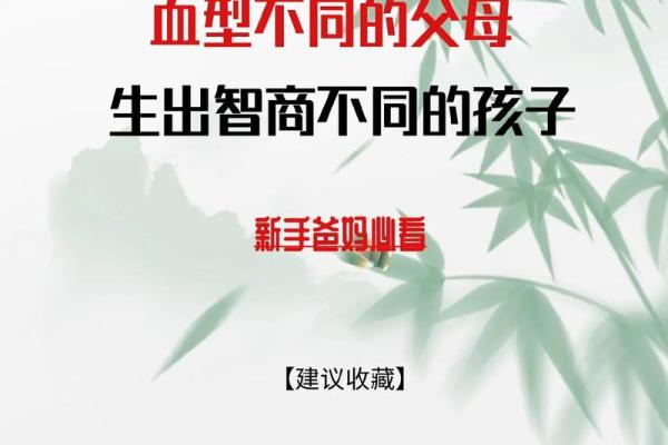 智商排行榜的4大血型有哪些呢