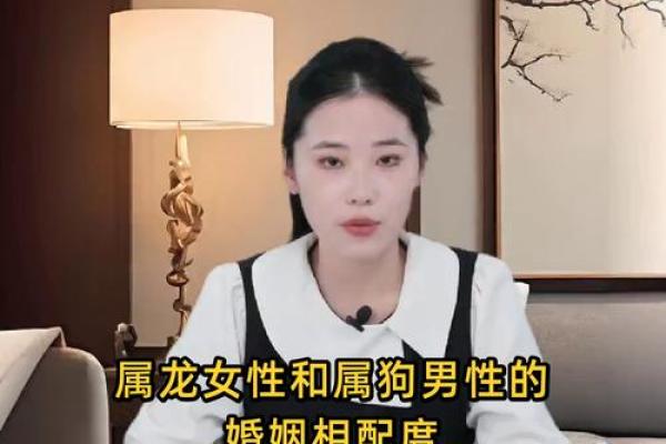 属龙和属狗适合做夫妻吗 配对有什么缺点