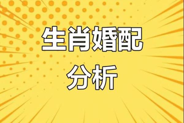 肖虎最佳配对生肖大揭秘