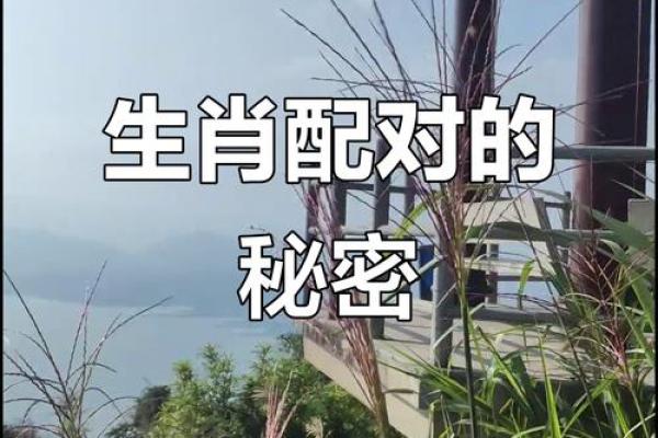 肖虎最佳配对生肖大揭秘