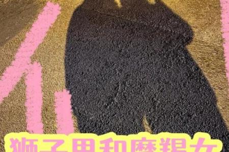 狮子女最容易被哪种男人撩 狮子女最容易被哪个男星座吸引