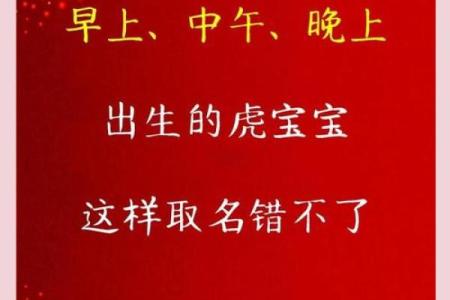 晚上12点出生的属虎男孩起什么名，宜用什么字姓名