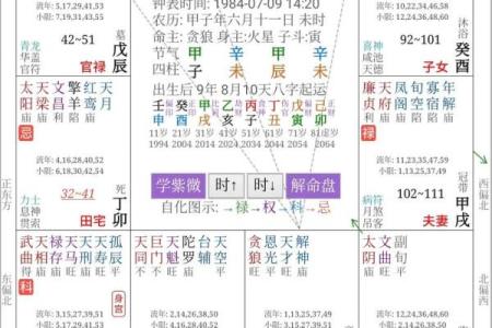紫薇斗数对宫怎么定