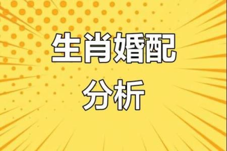 肖虎最佳配对生肖大揭秘