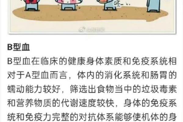 关于血型的婚姻综合症