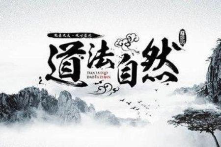张雨鑫八字评分与命运如何？