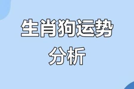属狗和什么属相最配对 属狗和什么属相相冲