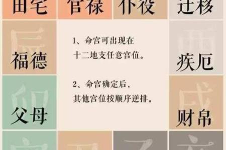 紫微斗数夫妻宫紫薇星
