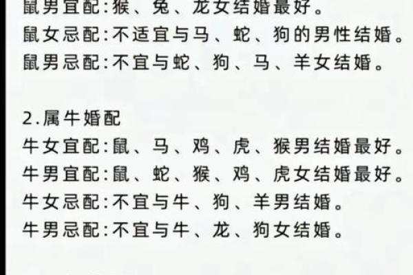 姓名配对网站大全 姓名配对免费下载？