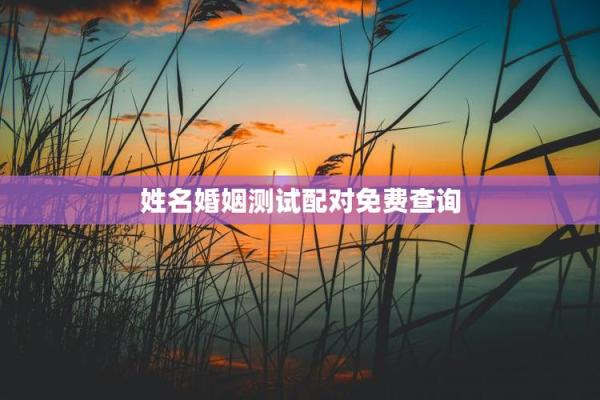 免费算婚姻姓名配对 婚姻测算姓名？