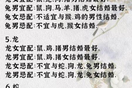 生肖配对属牛属兔的婚姻怎么样