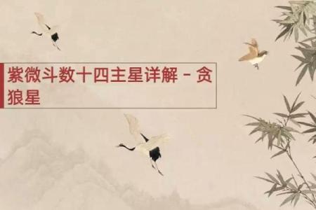 紫微斗数之迁移宫与诸星，贪狼星在迁移宫是什么意思？