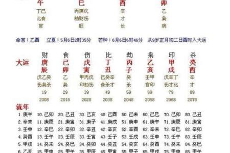 铁板神算命盘免费算命
