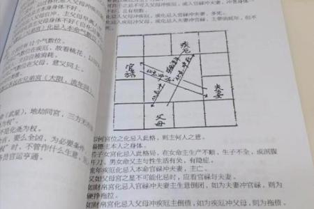 紫薇斗数看谁书籍