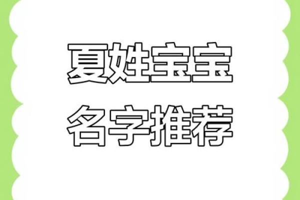 夏姓男孩名字大全-夏姓男孩起名字大全-夏姓名字大全姓名