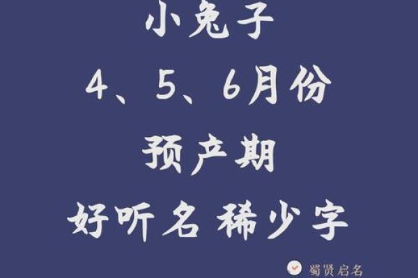下午出生属兔的男孩应该怎么样取名字呢？姓名