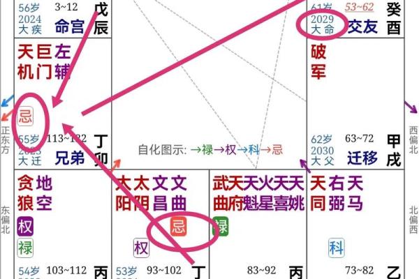 紫薇斗数科