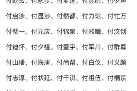 下午出生属兔的男孩应该怎么样取名字呢？姓名