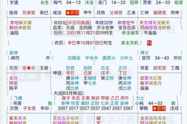 紫薇破军入疾厄宫的