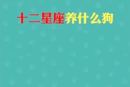 十二星座中谁适合养什么狗