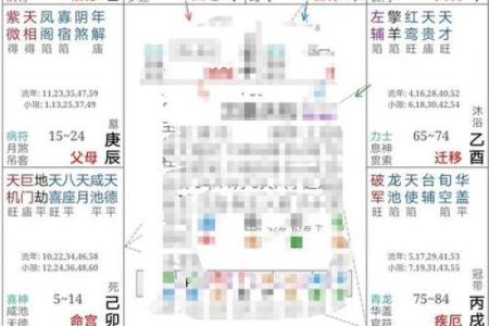 紫微斗数引出禄 紫薇命盘禄是什么意思？