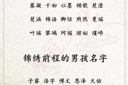 2019年4月2号寅时出生的男孩要怎么起名字姓名