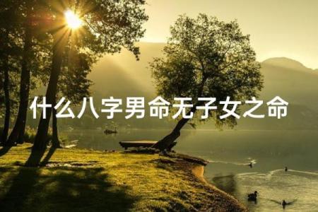 无子女八字