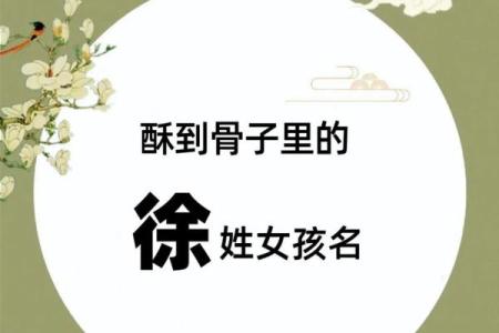 姓徐的名人-姓名学-华易算命网姓名