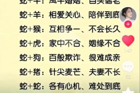 生肖配对属鼠属鸡的婚姻怎么样