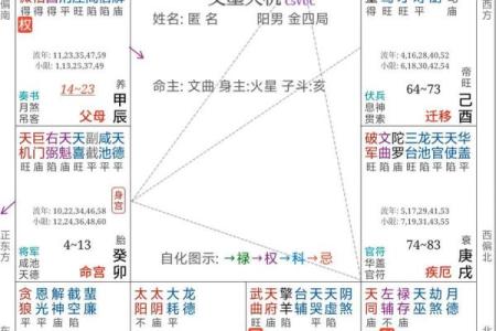 周易和紫薇斗数