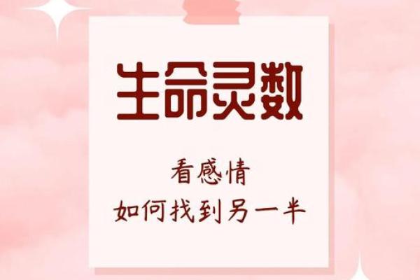 生命灵数配对怎么安排