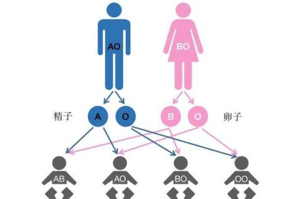 从工作态度判断他的血型