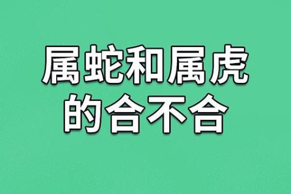 属蛇的男人应该与哪个生肖进行配对