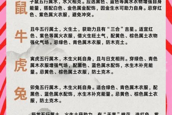 属蛇的男人应该与哪个生肖进行配对