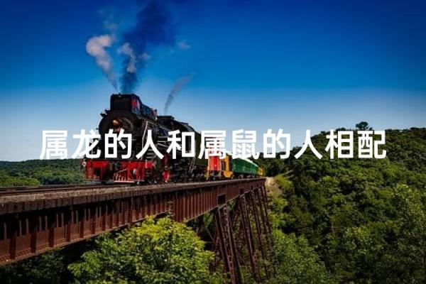 属鼠和属龙配对合适吗-