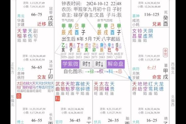 紫薇斗数申子辰