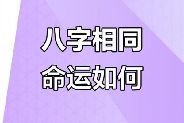 八字相似命运也相同吗