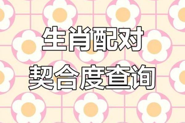 计算出姓名配对 测姓名匹配度？